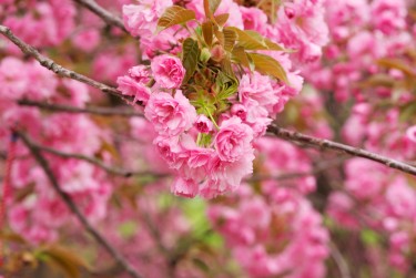 湖州南浔区2线下个人借款平台一站式服务，轻松解决资金难题