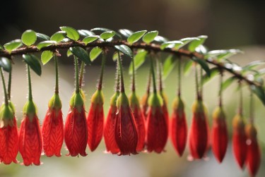 湖州南浔区2零用贷短借：轻松解决临时资金需求