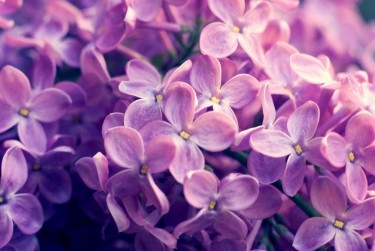 湖州南浔区2企业急用钱贷款攻略：快速融资解燃眉之急